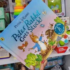 Peter the rabbit Gets Stuck Boardbook