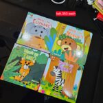 Where’s the Elephant